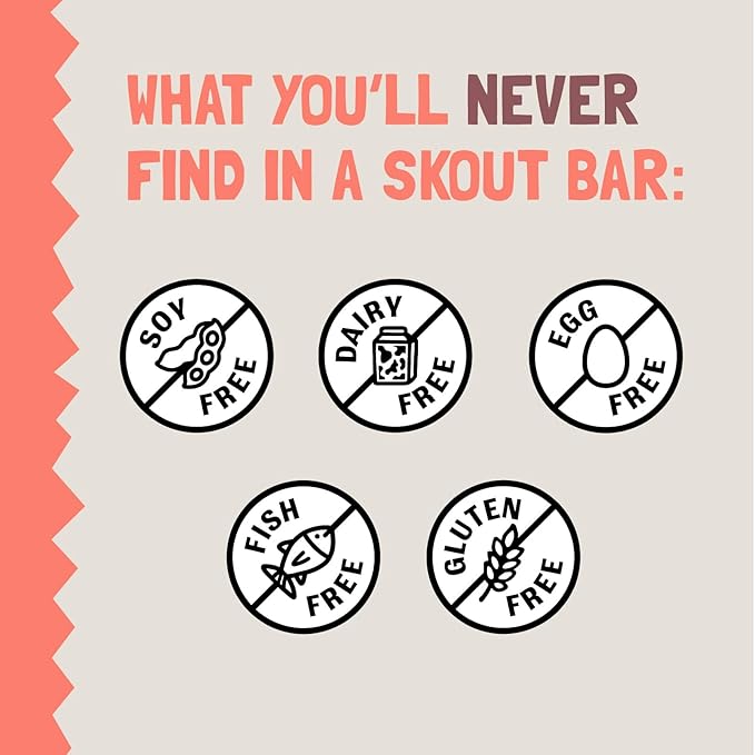Skout Organic French Toast Kids Snack Bars (18 Pack) | Organic Kids Snack Bars | Plant-Based Nutrition | Vegan | Gluten, Dairy, Grain, Peanut, Tree Nut & Soy Free