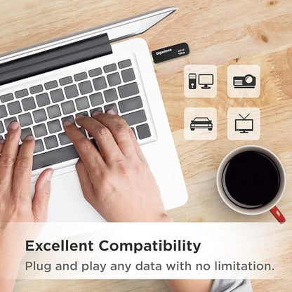 GIGASTONE 128GB Flash Drive (2 Pack) Z30 USB 3.2 Gen 1, 100MB/s Ultra Fast, Keychain Loop, Carbon Fiber Style, Push-Pull Design, Data Storage, Backup for PC/Mac/TV/Car, USB 2.0/3.0/3.1 Compatible