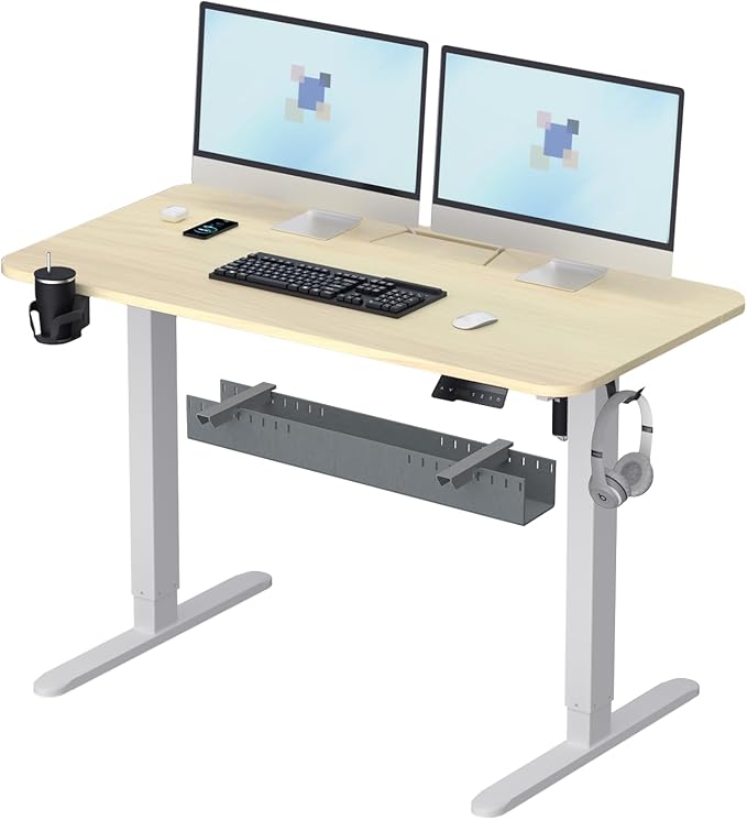 Standing Desk with Cable Management Tray, 48"x24" Electric Height Adjustable Sit Stand Desk, Memory Presets, Anti-Collision, Workstation for Home Office, Light Wood Top White Frame