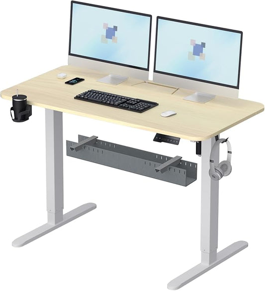 Standing Desk with Cable Management Tray, 48"x24" Electric Height Adjustable Sit Stand Desk, Memory Presets, Anti-Collision, Workstation for Home Office, Light Wood Top White Frame