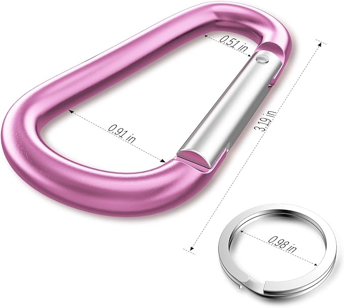 sprookber 3" Aluminum Carabiner D Ring, Caribeener Clips, Spring Snap Hook for Keychain Clip, Set of 10
