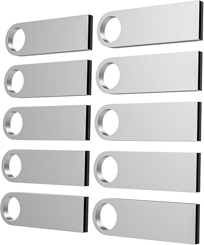 ABLAZE 4GB Flash Drive 10 Pack, Metal USB 2.0 Thumb Drives with Keychains USB Sticks Pendrives (Sliver)
