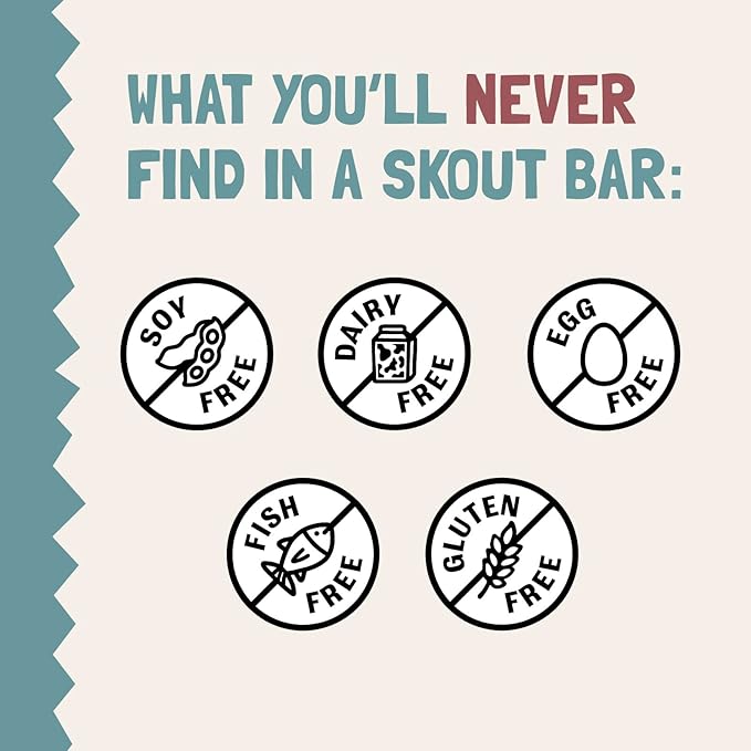 Skout Organic Dessert Inspired Kids Snack Bar Variety Pack (18 Pack) | Organic Kids Snack Bars | School Snacks & Lunch Snacks | Vegan & Paleo | Gluten, Dairy, Grain Free…