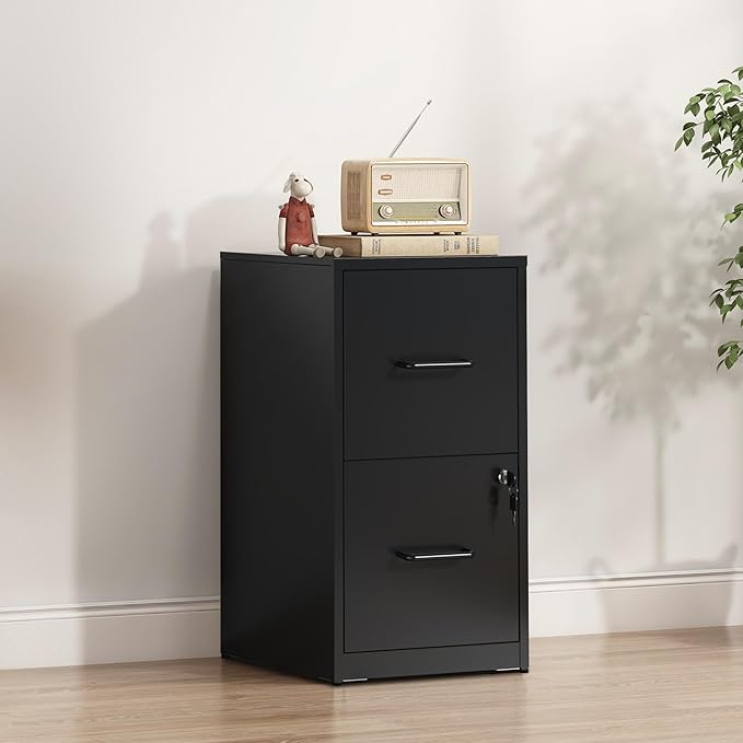 2-Drawer Locking Vertical File Cabinet, Metal Storage Cabinet for Office/Home – Secure Vertical Filing for Letter/Legal/A4/F4 Documents, Easy to Assemble Steel Cabinet (Black, 2 Drawer-25 H)