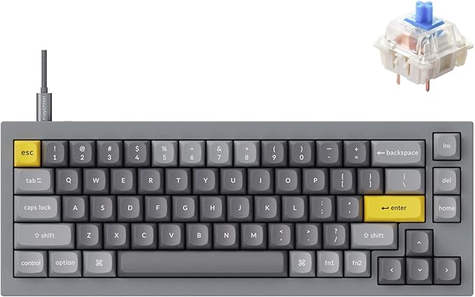 Keychron Q2 Wired Custom Mechanical Keyboard, QMK/VIA Programmable Macro, Full Aluminum, Hot-Swappable Gateron G Pro Blue Switch, 65% Layout Double Gasket Compatible with Mac and Windows - Grey