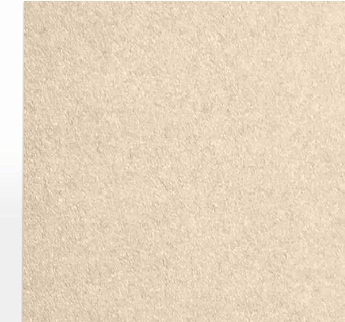 LUXPaper 8.5" x 11" Paper | Letter Size | Taupe Metallic | 80lb. Text | 50 Qty