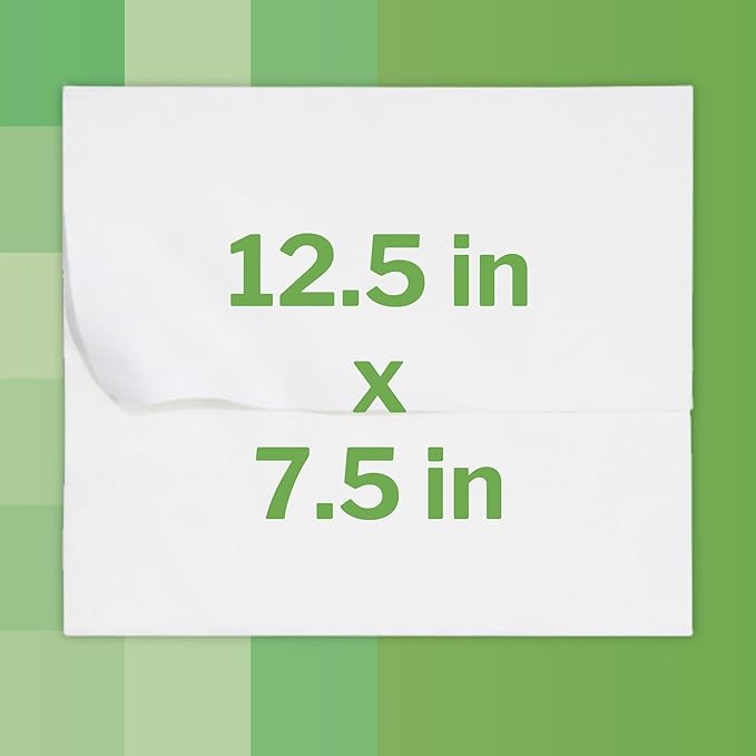 McKesson Flushable* Adult Wet Wipes XL – 576 Wipes (12 Pack of 48) – Aloe & Vitamin E, Plant-Based Cleansing Wipes, Unscented, Extra Large