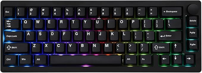 EPOMAKER P65 QMK/VIA Wireless Aluminum Gaming Keyboard, Gasket-Mount, Bluetooth/2.4Ghz/USB(A to C), Hot Swappable, N-Key Rollover, for Mac/PC/PS/Xbox (Black, Wisteria Linear Switch)