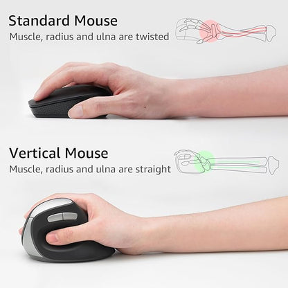 Rapoo EV250 Silent Vertical Ergonomic Mouse, 2.4G Wireless Optical Mouse, 800/1000/1200/1600 DPI, Quiet Clicks, 5 Buttons, Compatible with Windows/Mac OS/iPad OS, Laptop, PC - Black