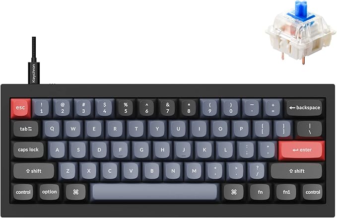 Keychron Q4 Wired Custom Mechanical Keyboard, 60% Layout QMK/VIA Programmable Macro with Hot-swappable Gateron G Pro Blue Switch Double Gasket Compatible with Mac Windows Linux (Black)