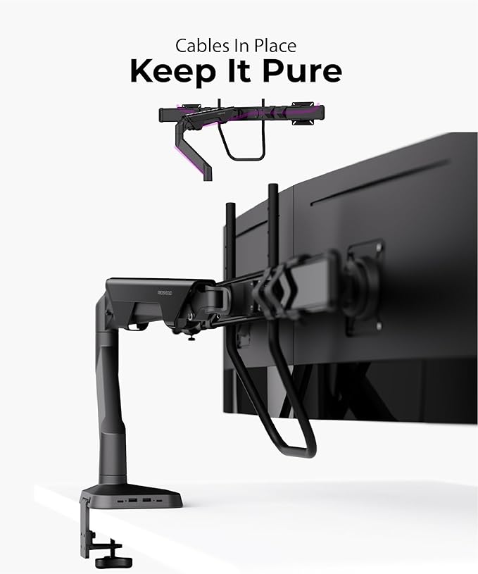 Dual Monitor Arm Desk Mount with Gas Spring & USB Charging, Fits 17–32” inches Screens up to 33 lbs, VESA 75x75/100x100, Crossbar Handle for Easy Adjustment, Black, Dual