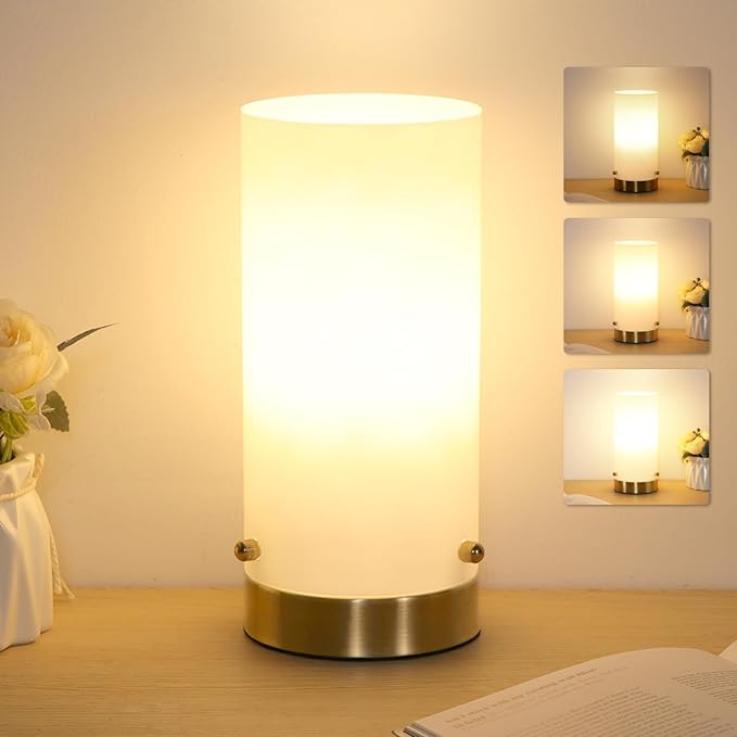 Bedside Touch Control Table Lamp for Bedroom 3 Way Dimmable Nightstand Lamp with Round Glass Shade for Living Room Kids Room Dorm Home Office(LED Bulb Included).