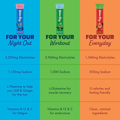 Waterboy Hydration Recovery Variety | 4-9x Electrolyte Powder Packets | Ginger + L-Theanine + L-Glutamine + Vitamins | No Sugar, All Natural, Gluten Free | 12 Drink Stick Mixes (Variety Pack)