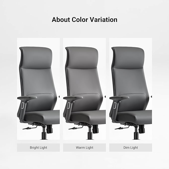 EUREKA ERGONOMIC Valen Leather Desk Chair, High Back Office Chair, Microfiber PU Leather Office Chair with Wheels, Executive Office Chair Comfy for Samll Spaces(Pack of 10, Gray)