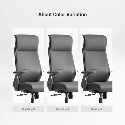EUREKA ERGONOMIC Valen Leather Desk Chair, High Back Office Chair, Microfiber PU Leather Office Chair with Wheels, Executive Office Chair Comfy for Samll Spaces(Pack of 10, Gray)