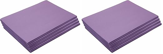 Colorations Construction Paper,Violet,9 inches x 12 inches,500 Sheets,Heavyweight Construction Paper,Crafts,Art,Kids Art,Painting,Coloring,Drawing,Creating,Paper,Art Project,All Purpose (Pack of 2)