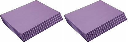 Colorations Construction Paper,Violet,9 inches x 12 inches,500 Sheets,Heavyweight Construction Paper,Crafts,Art,Kids Art,Painting,Coloring,Drawing,Creating,Paper,Art Project,All Purpose (Pack of 2)