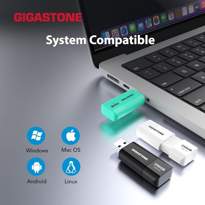 GIGASTONE 256GB Flash Drive (2 Pack) Z60 USB 3.2 Gen 1, 120MB/s Ultra Fast, Retractable Capless Slider Design, Data Storage, Backup for PC/Mac/TV/Car Audio, USB 2.0/3.0/3.1 Compatible
