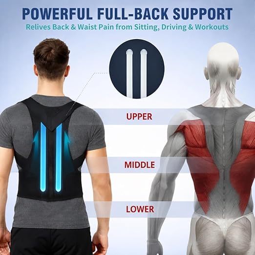 Back Brace Support Posture Corrector for Women & Men – Full Back Support for Upper, Mid & Lower Back Pain Relief, Ergonomic 3-in-1 System Improves Posture & Helps with Slouching, Rounded Shoulders, M (29–33 in waist)