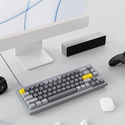 Keychron Q2 Wired Custom Mechanical Keyboard, QMK/VIA Programmable Macro, Full Aluminum, Hot-Swappable Gateron G Pro Blue Switch, 65% Layout Double Gasket Compatible with Mac and Windows - Grey