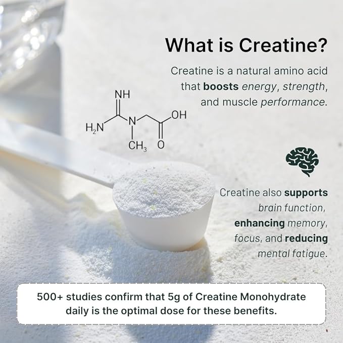 Nutrition On The Go Vegan Protein Powder Packets with Creatine – 20g Plant Proteins + 5g Creatine – Single-Serve Travel Protein Powder – All-Natural, Gluten-Free – Chocolate – (15-Pack)