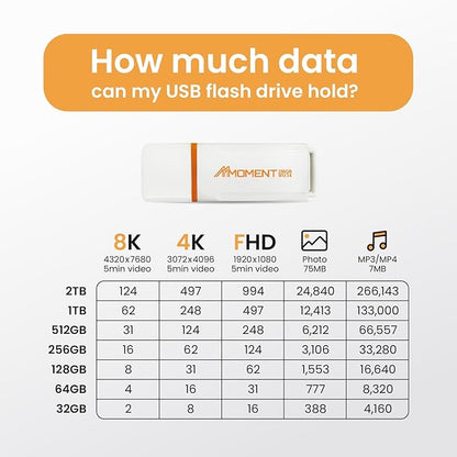 MMOMENT MU34 256GB USB 3.1 Flash Drive, Read Speed up to 120MB/s, Write Speed up to 60MB/s, Thumb Drive