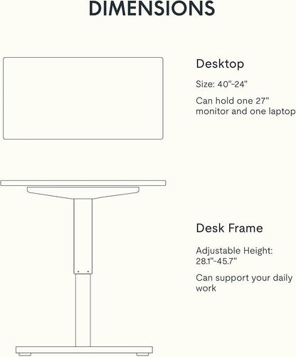 FLEXISPOT EN1 Whole-Piece Standing Desk 40" x 24" Electric Small Desk for Home Office (Black Frame + Maple Top, 2 Packages)