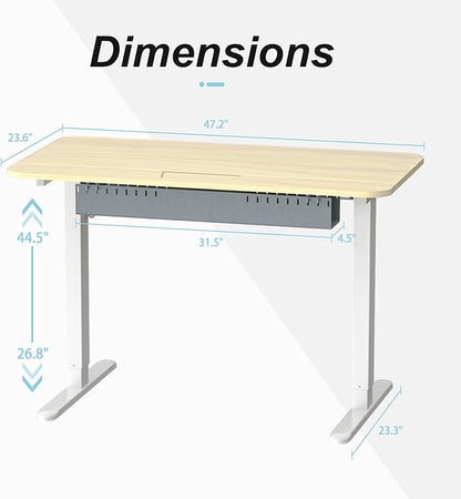 Standing Desk with Cable Management Tray, 48"x24" Electric Height Adjustable Sit Stand Desk, Memory Presets, Anti-Collision, Workstation for Home Office, Light Wood Top White Frame