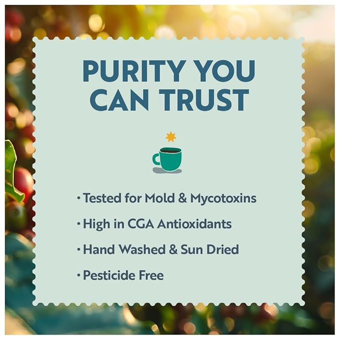 Clean Coffee Co. - Low Acid Medium-Dark Roast, Tested for Molds and Toxins, Papua New Guinea Blend, Notes of Milk Chocolate and Roasted Almonds (12 Ounce (Pack of 1), Espresso - Whole)