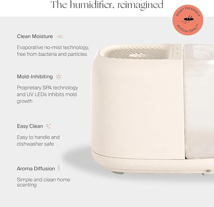 Canopy Large Room Humidifier, Moonstruck, Large Living Space, 36HR Run Time, 5.5L Tank - Includes Canopy Humidifier Plus, Diffusion Well, Unwind Aroma, Filter, Power Cord & Adapter