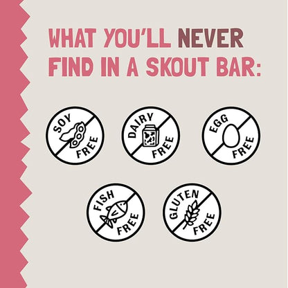 Skout Organic Raspberry Rush Kids Snack Bars (18 Pack) | Organic Kids Snack Bars | Plant-Based Nutrition, No Refined Sugar | Vegan | Gluten, Dairy, Grain, Peanut, Tree Nut & Soy Free