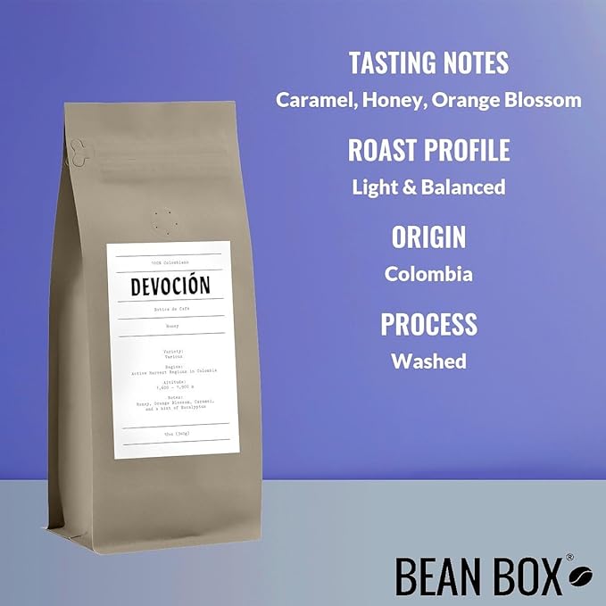 Bean Box Sampler - Roasted by Devocion, 3-Pack, Freshly Ground Coffee, Gourmet Coffee