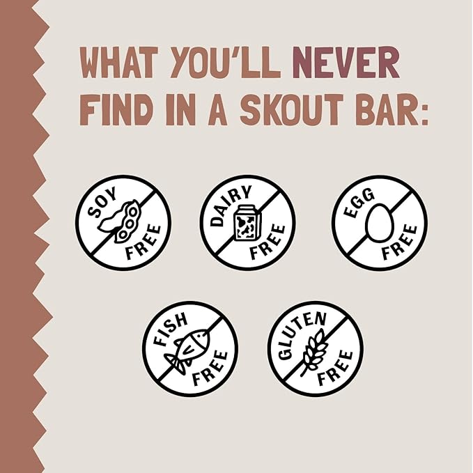 Skout Organic Chocolate Brownie Kids Snack Bars (18 Pack) | Organic Kids Snack Bars | School Snacks & Lunch Snacks | No Refined Sugar | Vegan & Paleo | Gluten, Dairy, Grain, Peanut Free