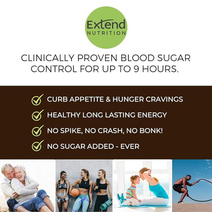 Extend Nutrition Sugar Free High Protein Bars, Perfect Sugar Free Snacks for Diabetes, Protein Bars for Hunger Control & Steady Energy, Low Carb, Keto, Intermittent Fasting, Rich Chocolate, 12 Count