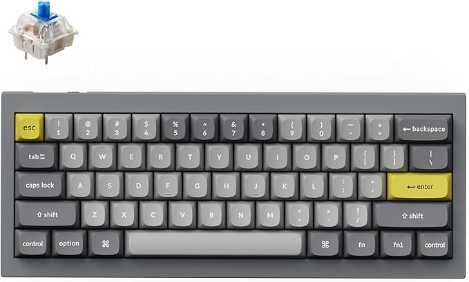Keychron Q4 Wired Custom Mechanical Keyboard, 60% Layout QMK/VIA Programmable Macro with Hot-swappable Gateron G Pro Blue Switch Double Gasket Compatible with Mac Windows Linux (Gray)