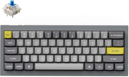 Keychron Q4 Wired Custom Mechanical Keyboard, 60% Layout QMK/VIA Programmable Macro with Hot-swappable Gateron G Pro Blue Switch Double Gasket Compatible with Mac Windows Linux (Gray)