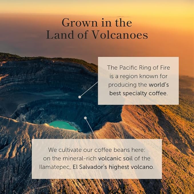 Bean of Fire El Salvador Pacamara Honey Ground Coffee – Medium Roast, Single Origin Specialty, Creamy & Nutty Cup (16 oz)