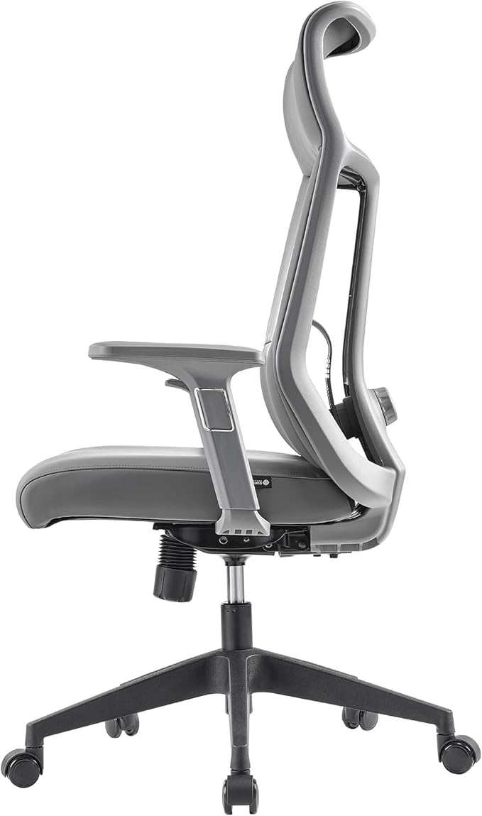 EUREKA ERGONOMIC Valen Leather Desk Chair, High Back Office Chair, Microfiber PU Leather Office Chair with Wheels, Executive Office Chair Comfy for Samll Spaces(Pack of 10, Gray)