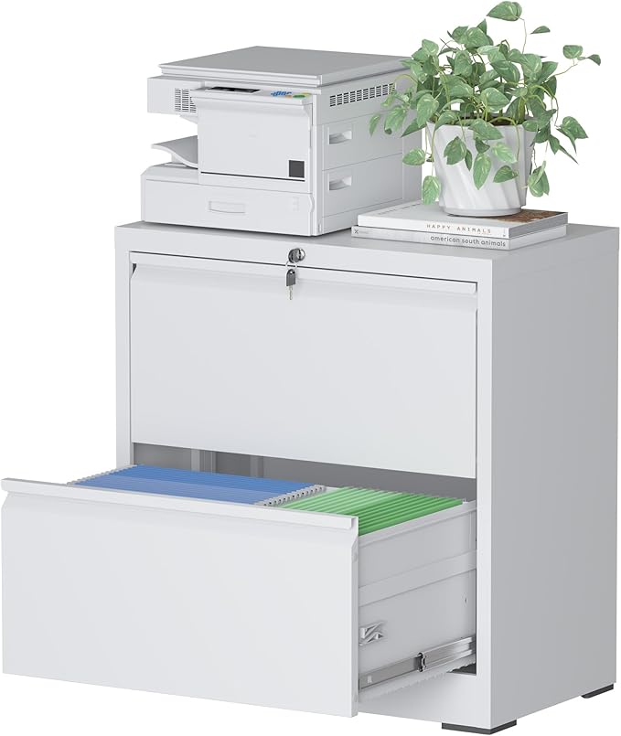 File Cabinet with Lock, 2 Drawer Lateral Filing Cabinets for Home Office, Metal Heavy Duty Steel Storage Cabinets for Hanging Letter/Legal/F4/A4 Size, Assembly Required White