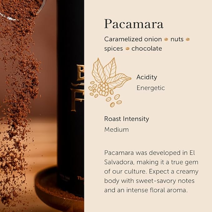 Bean of Fire El Salvador Pacamara Honey Ground Coffee – Medium Roast, Single Origin Specialty, Creamy & Nutty Cup (16 oz)