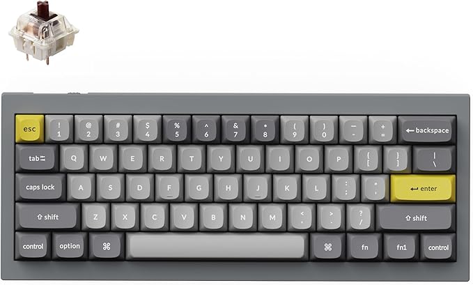 Keychron Q4 Wired Custom Mechanical Keyboard, 60% Layout QMK/VIA Programmable Macro with Hot-swappable Gateron G Pro Brown Switch Double Gasket Compatible with Mac Windows Linux (Gray)