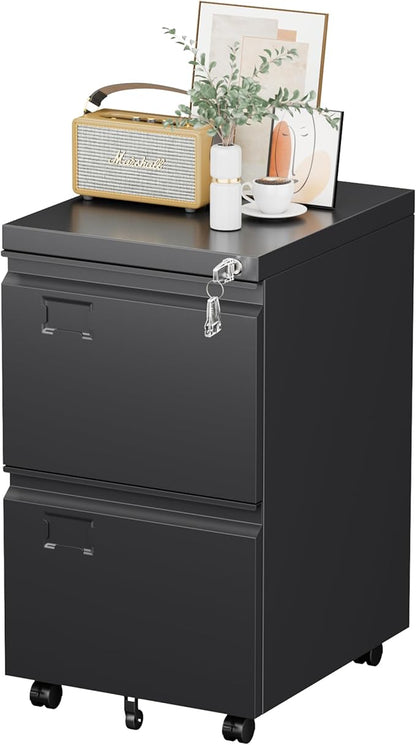 SUXXAN 2 Drawer File Cabinet with Wheels, Under Desk Drawer with Lock Name Card Holder for Home Office, Metal Filing Cabinet for Legal/Letter Size, Assembly Required