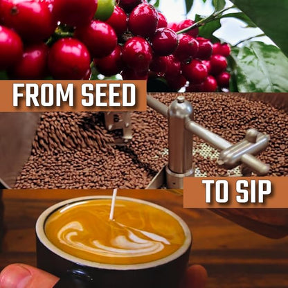KONA EARTH - 100% Kona Coffee, Classic Medium Dark Roast, Whole Bean (8oz) Farm-Direct Authentic Hawaiian Kona Coffee beans from Hawaii’s Big Island, Small-Batch Roasted