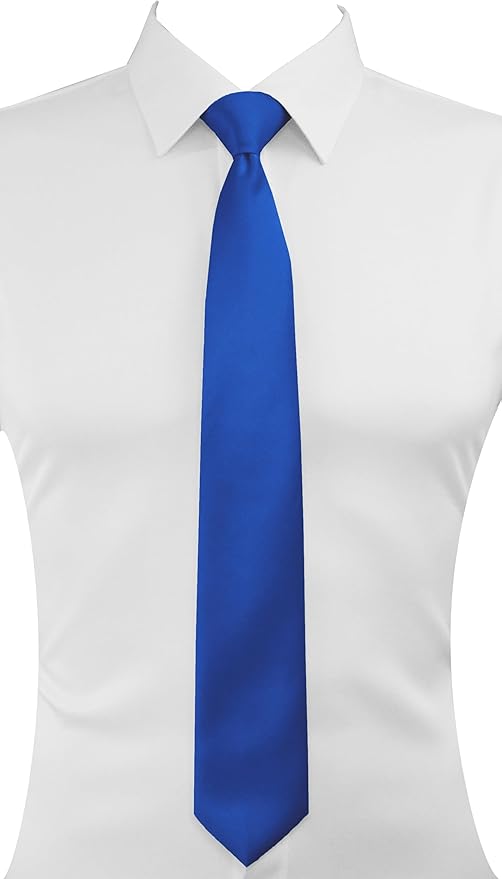 Dibi Solid Color Ties for Men, Formal Mens Ties, Neck Tie, Classic Tie for Boys Women Teens, Wedding Business Costume Necktie