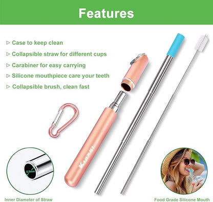 Kynup 4Packs Reusable Straws, Metal Straw with Silicon, Travel Drinking Straws with Case, Keychain, Cleaning Brushes, Silicon Pcs Perfect for Travel, Gifts (20 PCS) Blue-Rose Gold-Red-Turquoise