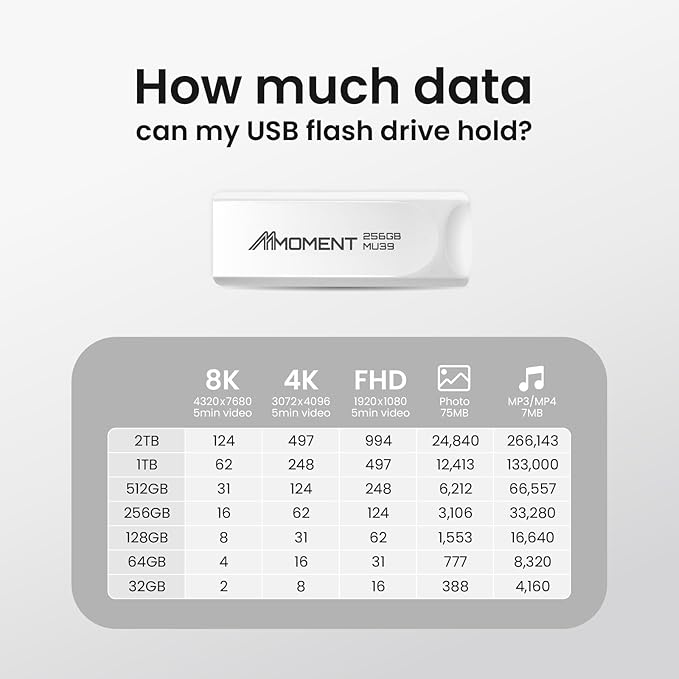 MMOMENT MU39 256GB USB 3.1 Gen1 Flash Drive, Read Speed up to 100MB/s, Retractable Design Thumb Drive