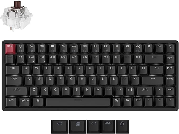 Keychron K2 75% Layout QMK Wireless and Wired Options Mechanical Keyboard Super Brown Switch, Paired with Shine-Through Double-Shot PBT Keycaps for Mac Windows-Version 3