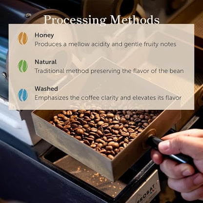 Bean of Fire El Salvador Pacamara Honey Ground Coffee – Medium Roast, Single Origin Specialty, Creamy & Nutty Cup (16 oz)