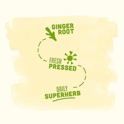 Vive Organic Immune Support Ginger Shot, Cold-Pressed Ginger Root & Organic Juice, Gluten Free, Vegan, Immunity Booster 2 Fl Oz (Pack of 12)
