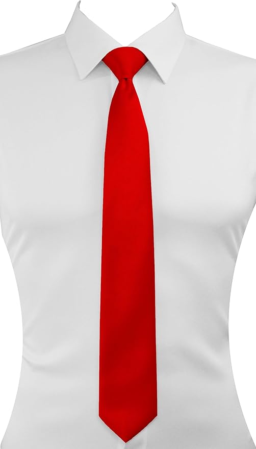 Dibi Solid Color Ties for Men, Formal Mens Ties, Neck Tie, Classic Tie for Boys Women Teens, Wedding Business Costume Necktie